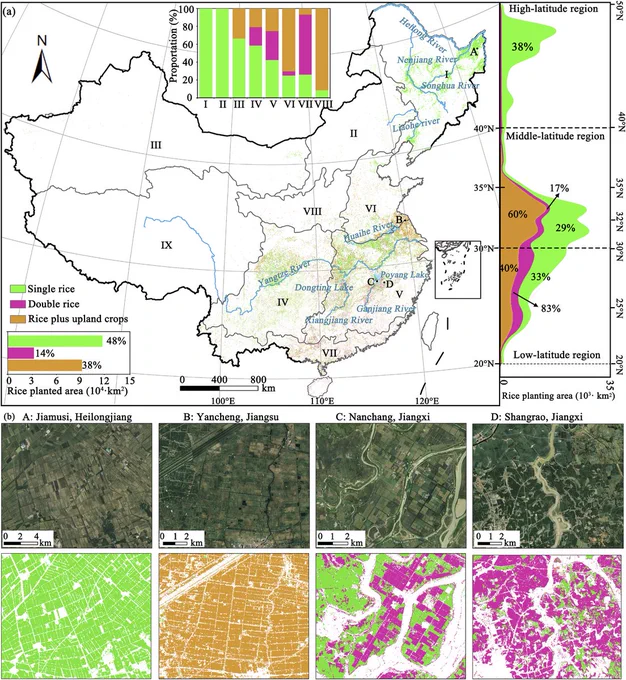 Figure 1. (a) Sentinel-1/2-derived rice maps in 2020 in China and (b) some snapshots.