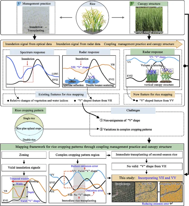 Figure 2. Innovations of the proposed rice cropping pattern mapping framework.