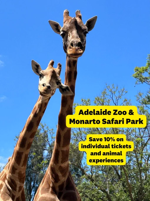 Promotional image featuring two giraffes under a clear blue sky, with text offering a 10% discount on individual tickets and animal experiences at Adelaide Zoo & Monarto Safari Park.