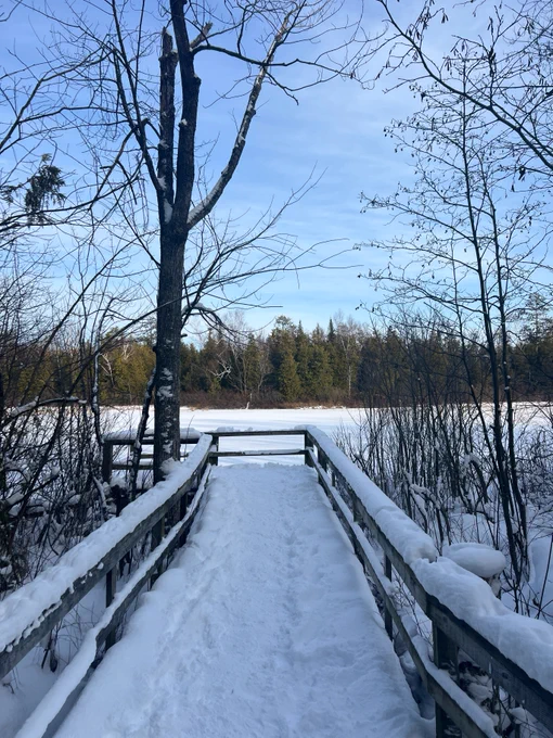 snow covered Huron Fringe boardwalk looking out over turtle pond