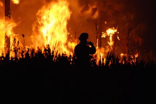 Silhouette of a firefighter standing near intense flames engulfing a forest at night.