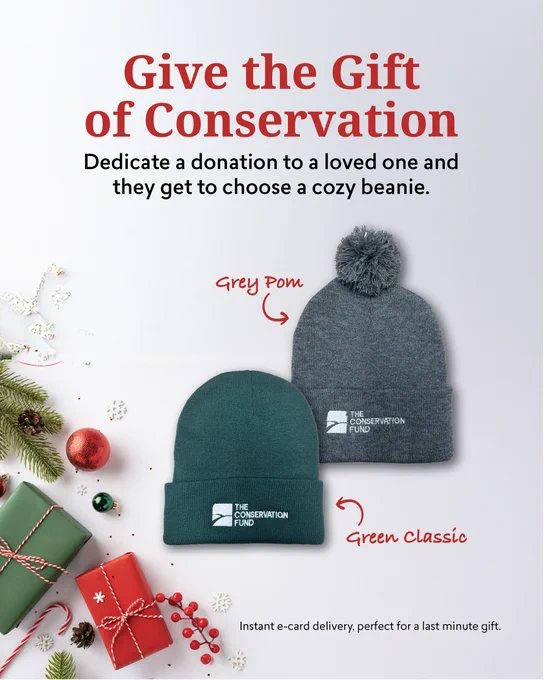 Promotional image featuring a grey pom beanie and a green classic beanie with The Conservation Fund logo, alongside decorative Christmas ornaments and wrapped gifts. Text encourages giving a donation as a gift, with instant e-card delivery option.