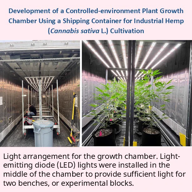 Light arrangement for the growth chamber. Light-emitting diode (LED) lights were installed in the middle of the chamber to provide sufficient light for two benches, or experimental blocks.
