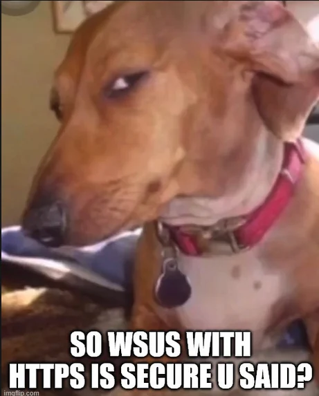 So WSUS with HTTPS is secure u said?