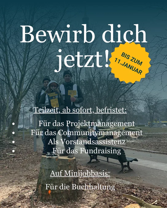 5 offene Stellen warten auf deine Bewerbung: Fundraisind, Vorstandsassistenz, Projektmanagement, Communitymanagement (alles Teilzeit und auf 1 Jahr befristet) und Buchhaltung als Minijob.