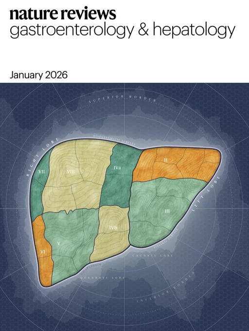 COVER: Liver cell atlas, inspired by the Roadmap on p97. 
