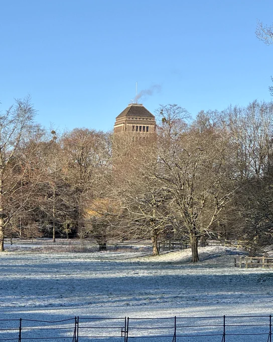 The UL's tower, seen through the trees from King's College, Cambridge. It is a snowy day.