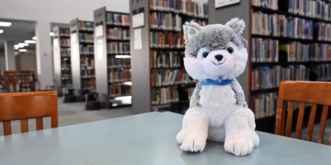 A plushy of the college mascot, a gray and white Husky dog, sits on a table in the college library. 