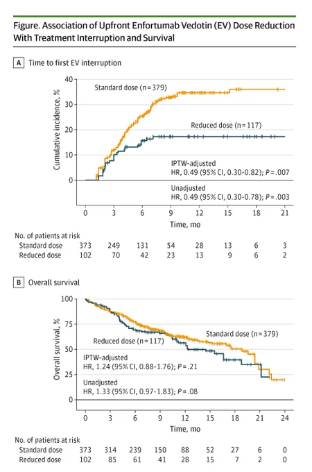 Figure shows association of Enfortumab Vedotin dose reduction with treatment interruption and survival. Graph A plots time to first EV interruption. Graph B plots overall survival. Standard dose, reduced dose, and the number of patients at risk are shown.