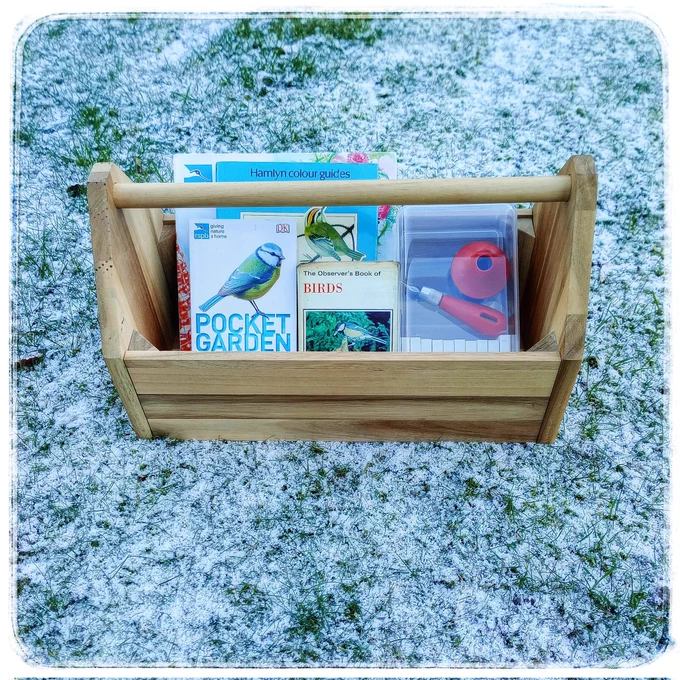 Out on lightly snow frosted grass is a wooden toolbox holding vintage bird books & a little tub of lino carving tools leftover from my highschool art supplies - time to remember how to use them!