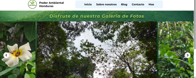 Te presentamos nuestra nueva galería de fotografías en nuestro sitio web oficial: https://poderambientalhn.wixsite.com/poder-ambiental/galeria