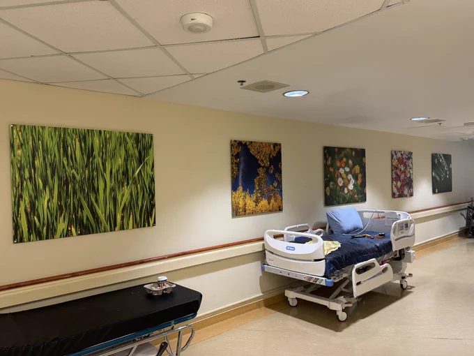 A series of brilliant images by Sherman Hines, rendered on metal by Posterjack, seems to cascade down a corridor at the entrance to Unit 6PMB (Thoracic Surgery and Respirology Unit) at UHN Toronto General Hospital.