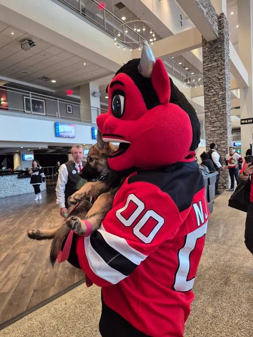 The NJ Devils mascot holds the same German shepherd puppy in his arms.
