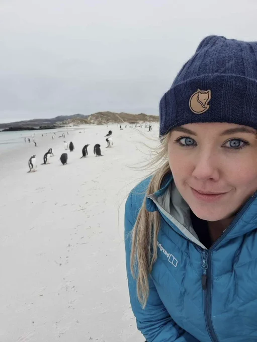 {Source:  @kejamieson_} World Penguin Day 🐧🐧🐧