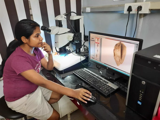 Richa making wing measurements in lab.