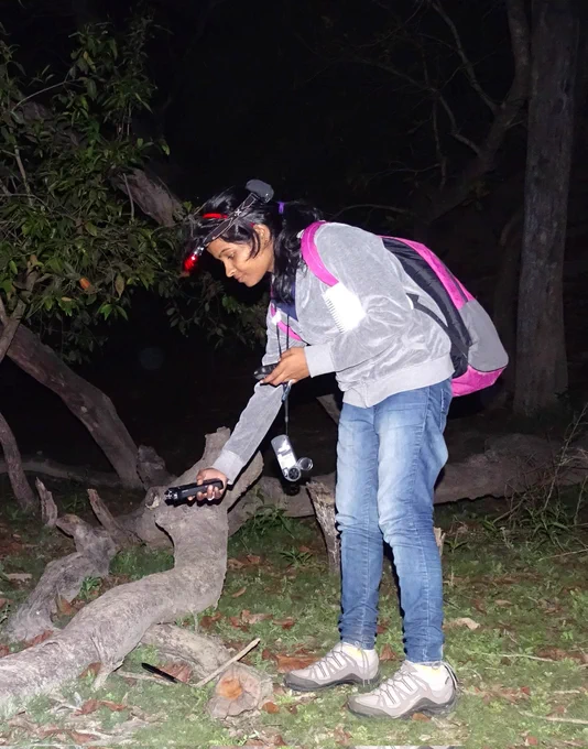 Richa recording cricket calls in the field.