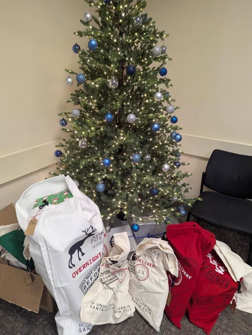 Gifts under the Christmas tree