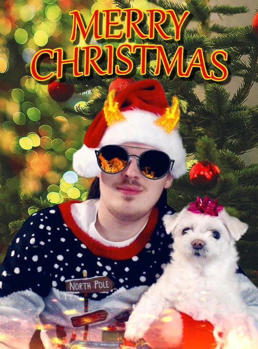 Lucy and BadBoyHalo sitting in front of a Christmas tree for 2025 Christmas card (I put a cat on the screen so Lucy would look straight ahead.