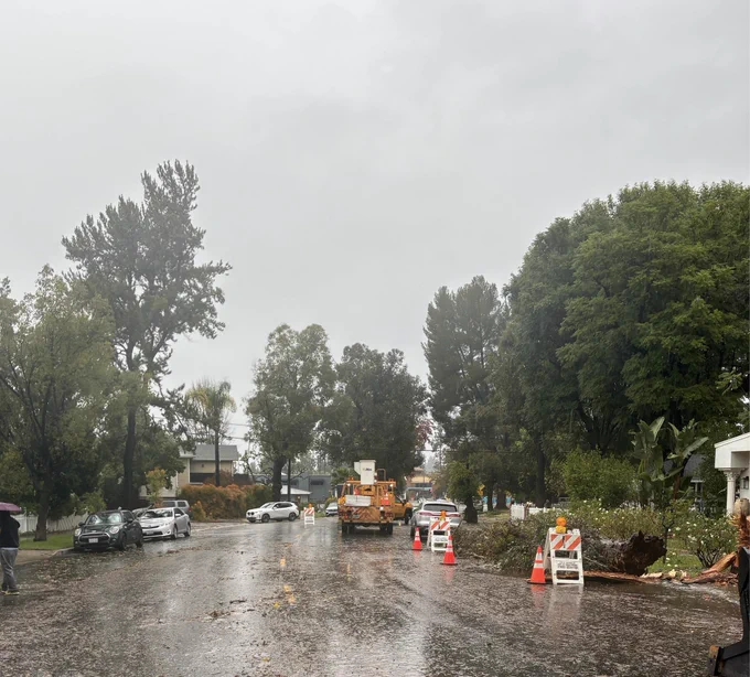 LA City public works crews clear tree blocking the street and move it to the side.