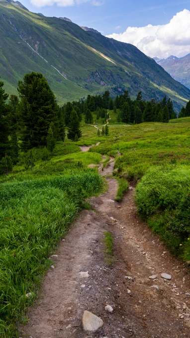 Photography by Tim D 