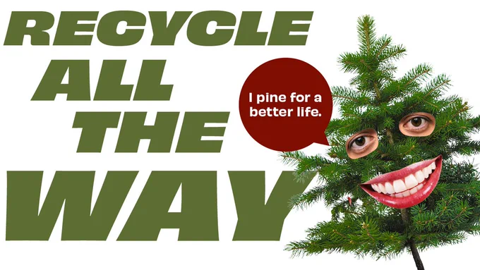 Christmas tree with real eyes and smiling mouth superimposed on it. Text says "Recycle all the way. I pine for a better life"