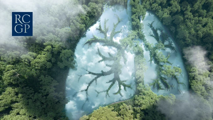 A picture of trees and fog