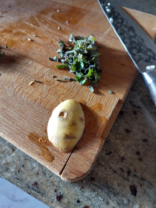 Rip spudface