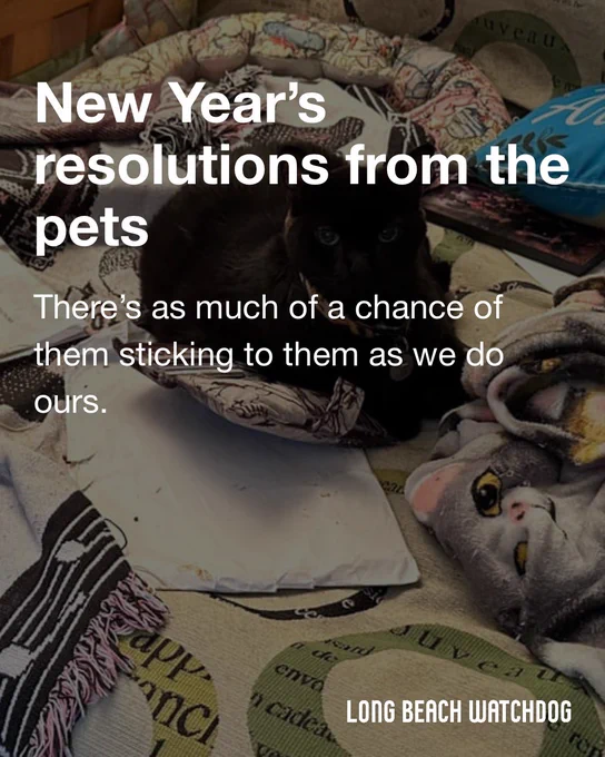 New Year’s resolutions from the pets.
There’s as much of a chance of them sticking to them as we do ours.