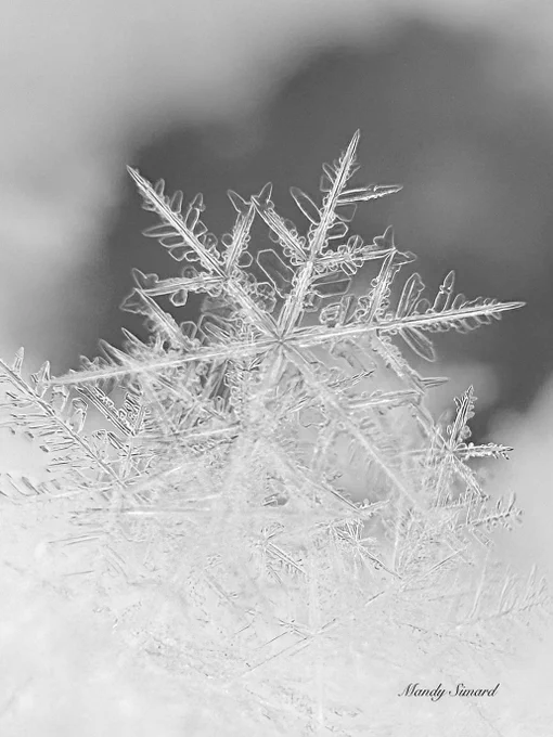 Snowflake