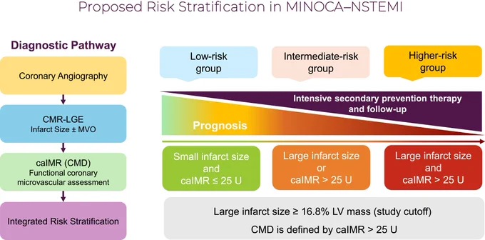 https://www.ahajournals.org/doi/10.1161/JAHA.125.046933