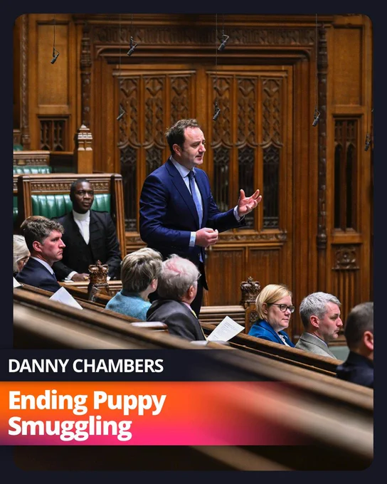 A photograph of Danny Chambers MP speaking in the House of Commons. He is wearing a blue suit and tie, gesturing with his hands toward the centre of the chamber. A text overlay at the bottom reads: "DANNY CHAMBERS: Ending Puppy Smuggling."