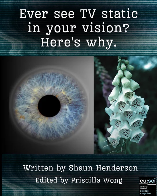 Graphic titled “Ever See TV Static in Your Vision? Here’s Why.” The image shows a close-up of a blue eye iris alongside foxglove flowers and a TV static pattern. Beneath the image is the text “Written by Shaun Henderson, edited by Priscilla Wong,” with the EuSci logo in the bottom right corner.

