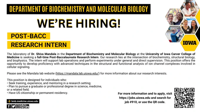 Job advertisement for a post-bacc research intern. 
More information and the application is available online at
https://jobs.uiowa.edu/research/view/910.