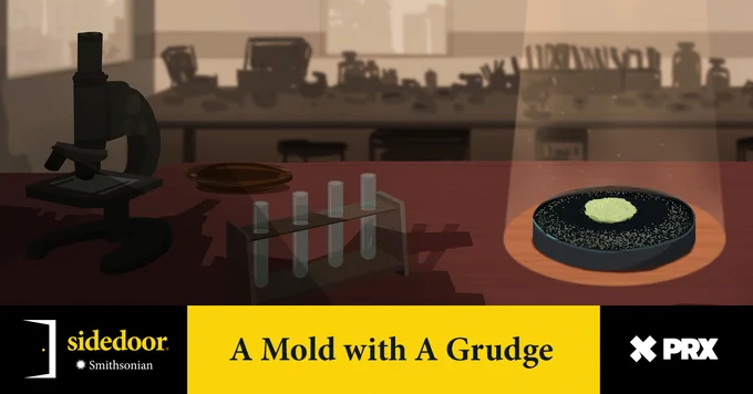 A sepia-toned, cartoon-style illustration of a laboratory table. In the foreground, a single, illuminated Petri dish sits on the right, showing a bright, light-green mold (representing Penicillium mold) growing on a dark medium. To the left are a rack of four test tubes and the base of a vintage microscope. The background shows the shadowy outlines of a messy lab bench with various glassware and bottles. The scene evokes the accidental discovery of penicillin by Alexander Fleming.