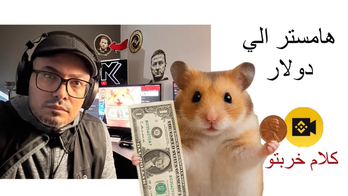 كلام خربتو علي بينانس