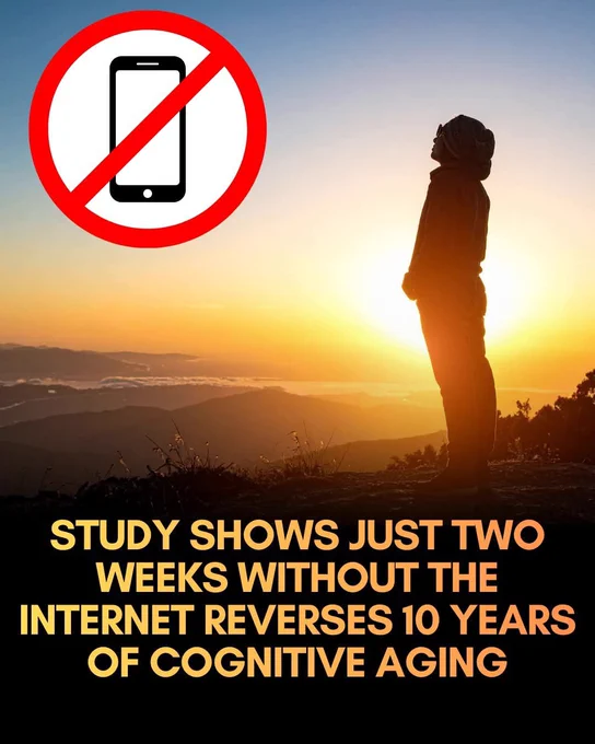 Two weeks without mobile internet restored sustained attention to levels typical of someone ten years younger.

Imagine regaining the mental sharpness you had a decade ago just by adjusting how you use your phone. A groundbreaking randomized controlled trial published in PNAS Nexus suggests this is possible. Researchers found that individuals who restricted mobile internet access on their smartphones for just two weeks experienced dramatic improvements in sustained attention and overall well-being. The cognitive gains were so significant that participants' performance on attention tests mimicked results typically seen in adults ten years younger, proving that our constant digital tethers may be taxing our brains more than we realize.

The study highlights that the benefit comes from reducing the relentless "always-on" stimulation unique to mobile devices. Interestingly, participants were not required to quit the internet entirely; they could still use computers and access basic phone.