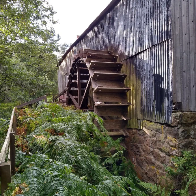 A photograph of a wooden waterwheel, situated against the side of a stone and corrugated metal building, surrounded by overgrown bracken and other greenery. 