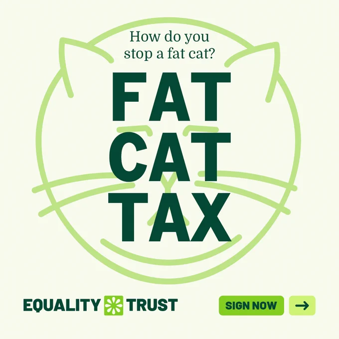 Graphic with a cat outline and text asking how to stop a fat cat, answered by 'FAT CAT TAX' in bold letters. A button appeals for you to sign the petition.