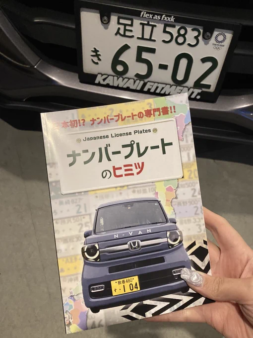 a hella detailed book about japanese number plates.