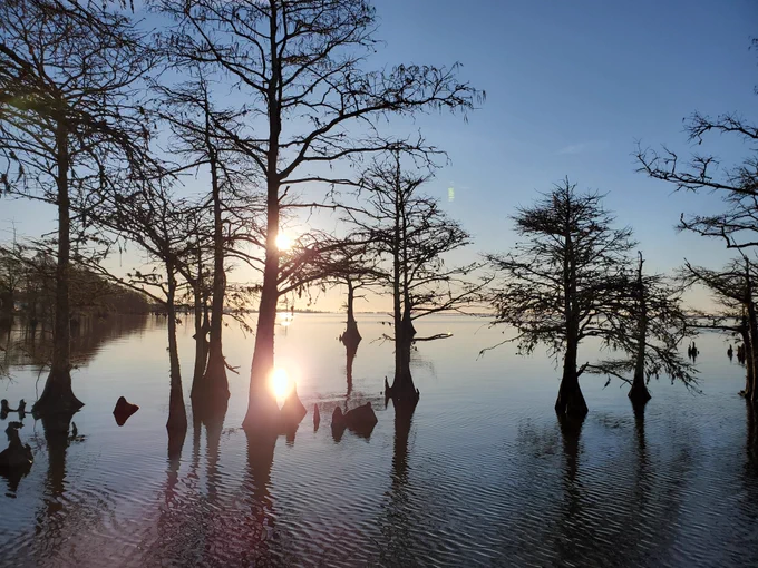 Sunrise over a lake with cypress trees.