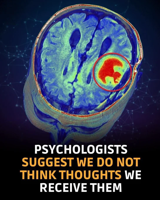 🧠 Mind as receiver, not creator.

Psychologists are exploring a fascinating idea that challenges how we understand the human mind. Thoughts may not be something we actively produce. Instead, they may arise, arrive, or surface from deeper subconscious processes beyond conscious control. Rather than being authored moment by moment, thoughts appear automatically, often without warning or intention.

Brain imaging studies show that neural activity linked to a thought begins milliseconds before a person becomes aware of it. This suggests awareness comes after the thought has already formed, not before. Meditation research supports this too, showing how thoughts emerge spontaneously when the mind is quiet, then fade when attention shifts.

This perspective changes how we relate to anxiety, creativity, and self-judgment. If thoughts are received rather than chosen, then observing them without attachment becomes easier. Mental clarity may come not from controlling the mind, but from listening