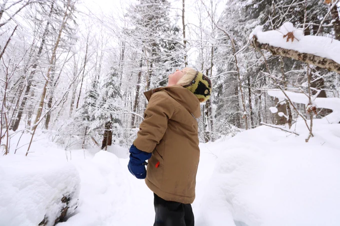 Person wearing a winter coat and a hat, exploring a snowy forest.