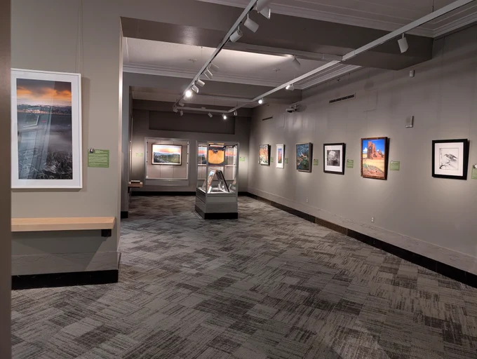 Interior view of a modern art gallery with framed works of art in a variety of media displayed on the walls under track lighting.