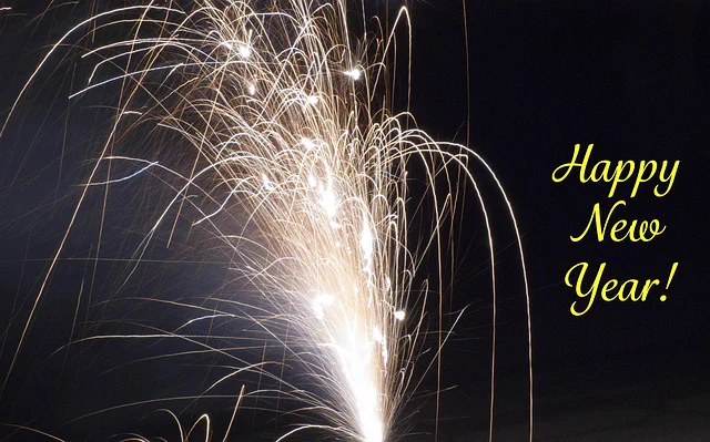 white fireworks against a dark night sky with the words - Happy New Year!