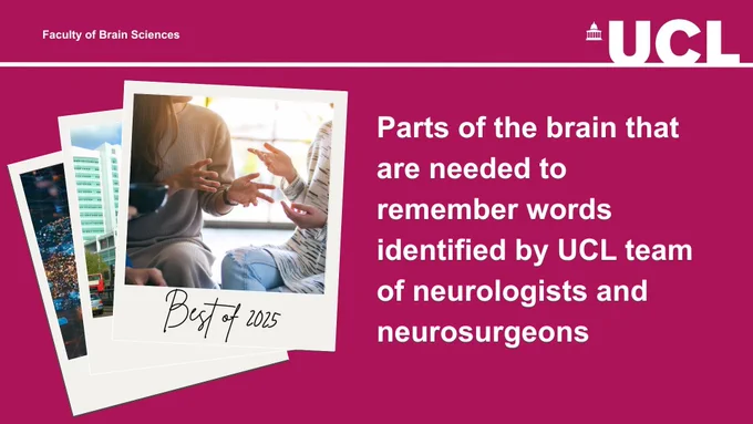 Parts of the brain that are needed to remember words identified by UCL team of neurologists and neurosurgeons