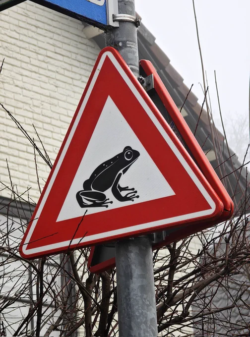frog red sign 