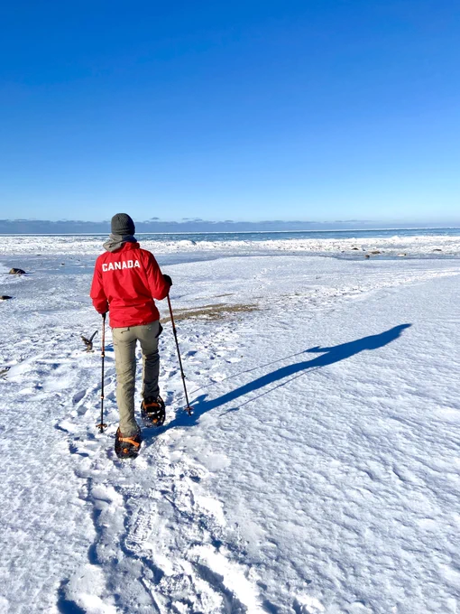Person wearing a red jacket snowshoeing across a snowy landscape under a clear blue sky.
