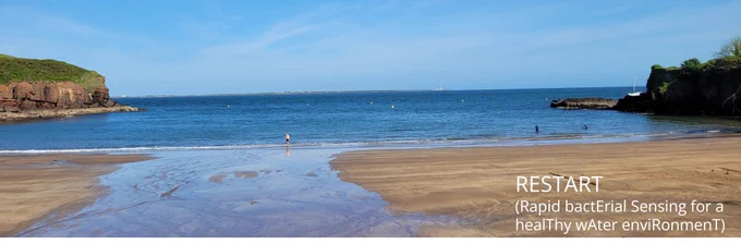 Picture of a steam flowing into a cove beach surrounded by small cliffs with text on it RESTART - Rapid bacterial Sensing for Healthy water environment) 