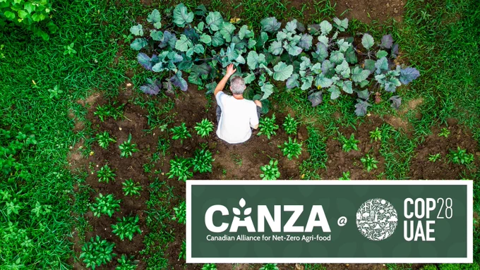 Top view of person gardening with many green plants, with logos and text along the bottom right. 