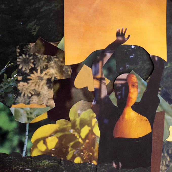 A collage by local artist Sarah Lawson, a mix of flora and fauna with a young person fading in and out od the background with their hand raised above their head.
